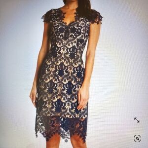 Foxiedox Aliya Lace Dress, Navy, Size Small